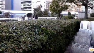 美国人妻一区二区三区丰满的少妇小姐姐，3P淫乱场面，第二部